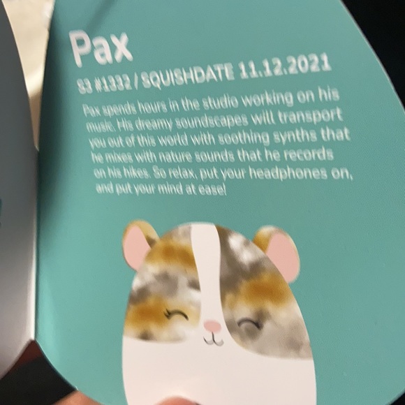 Pax Squishmallow Clip - Picture 4 of 5